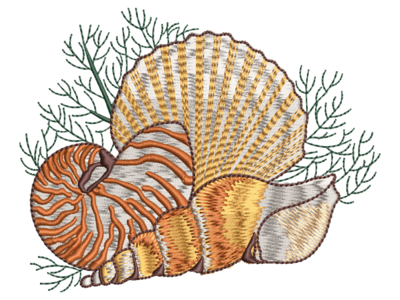 Coastal Seashell Design