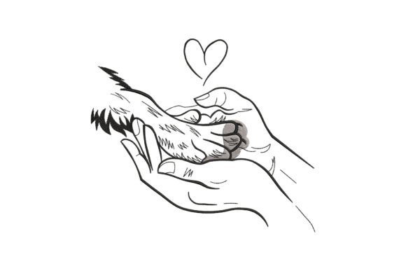 Dog Paw in Hands