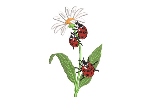 Ladybugs on Daisy Stem