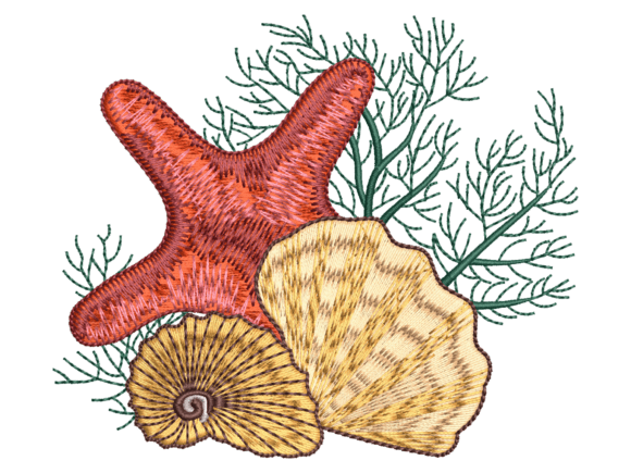 Red Starfish Seashell